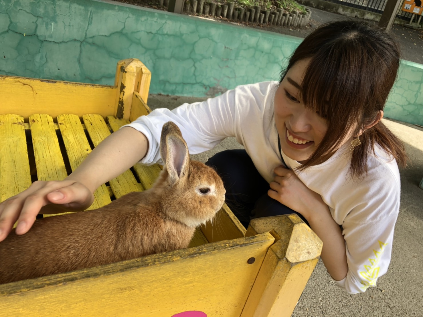 新藤美希
