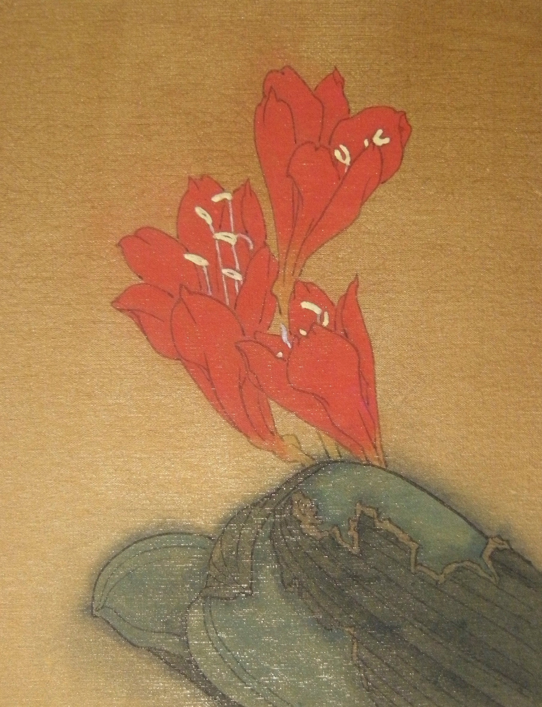 君子蘭