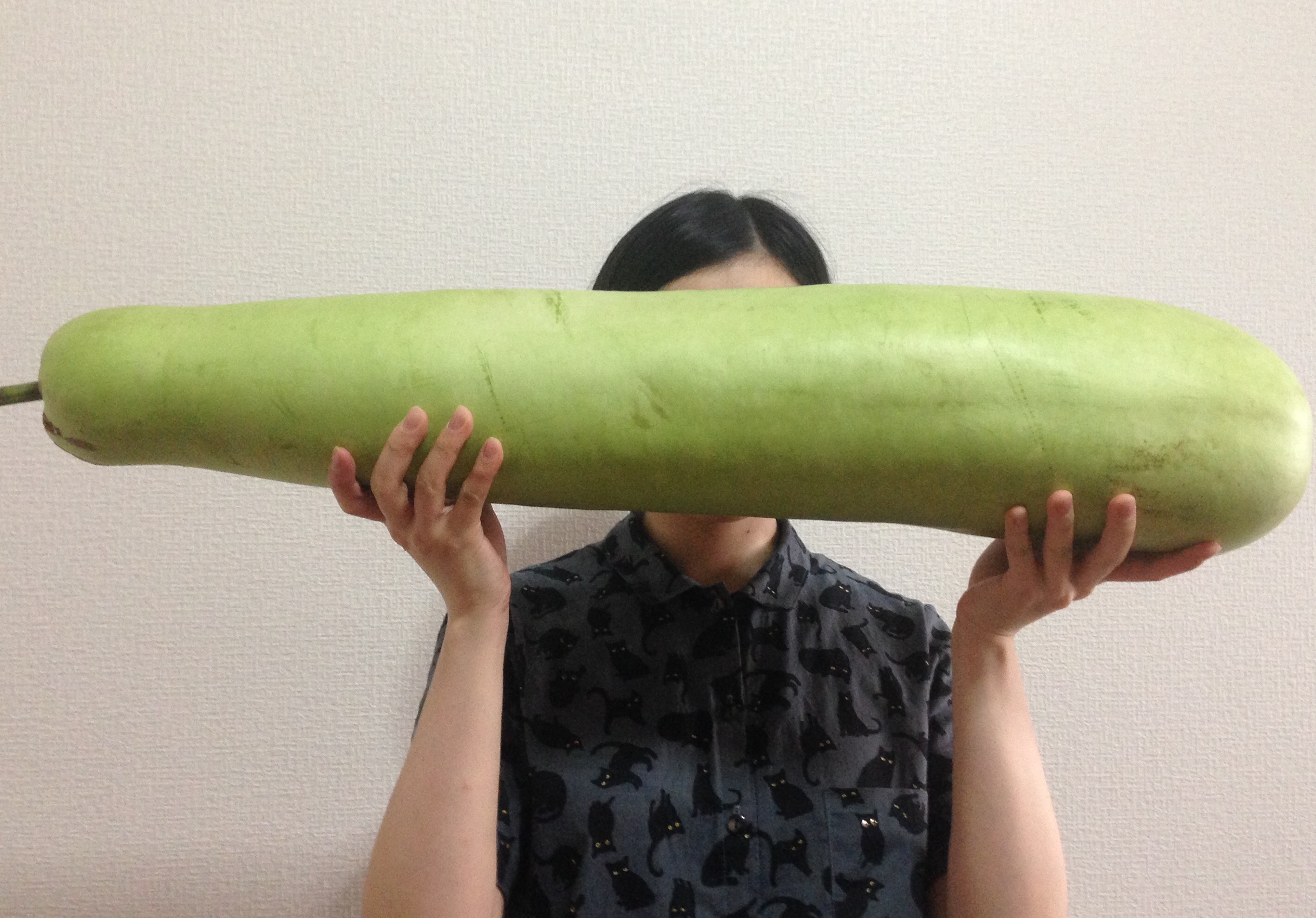 小田島春華