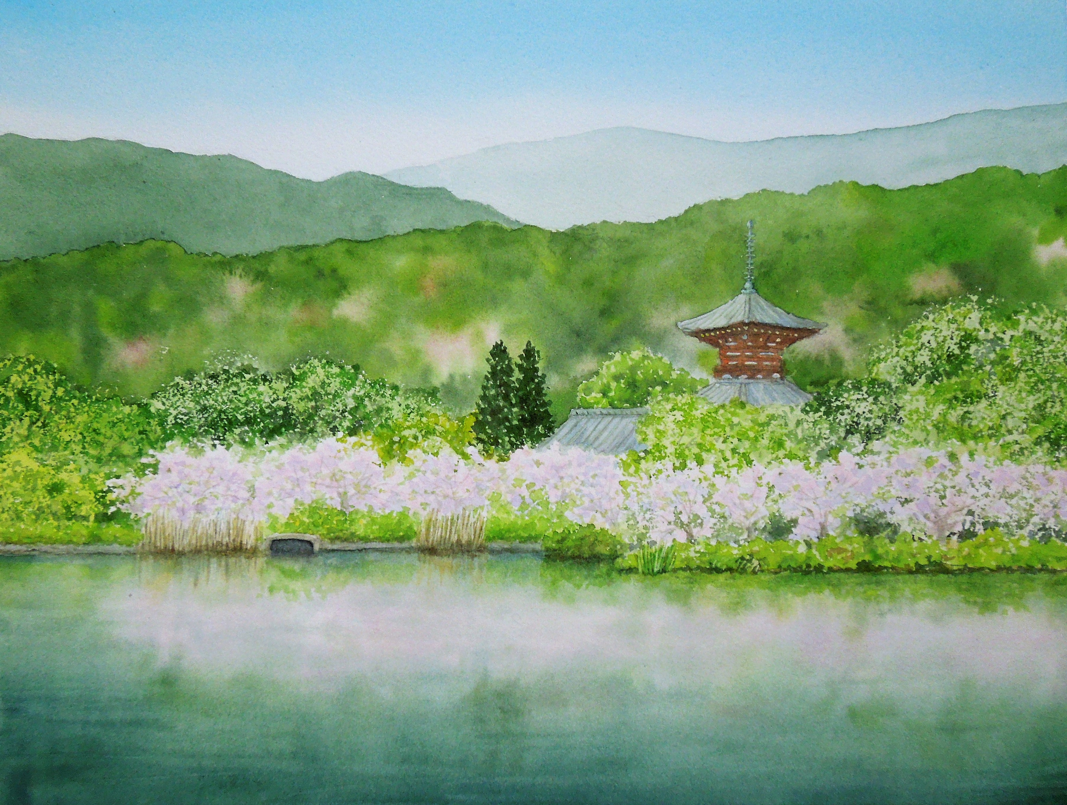 山路七緒
