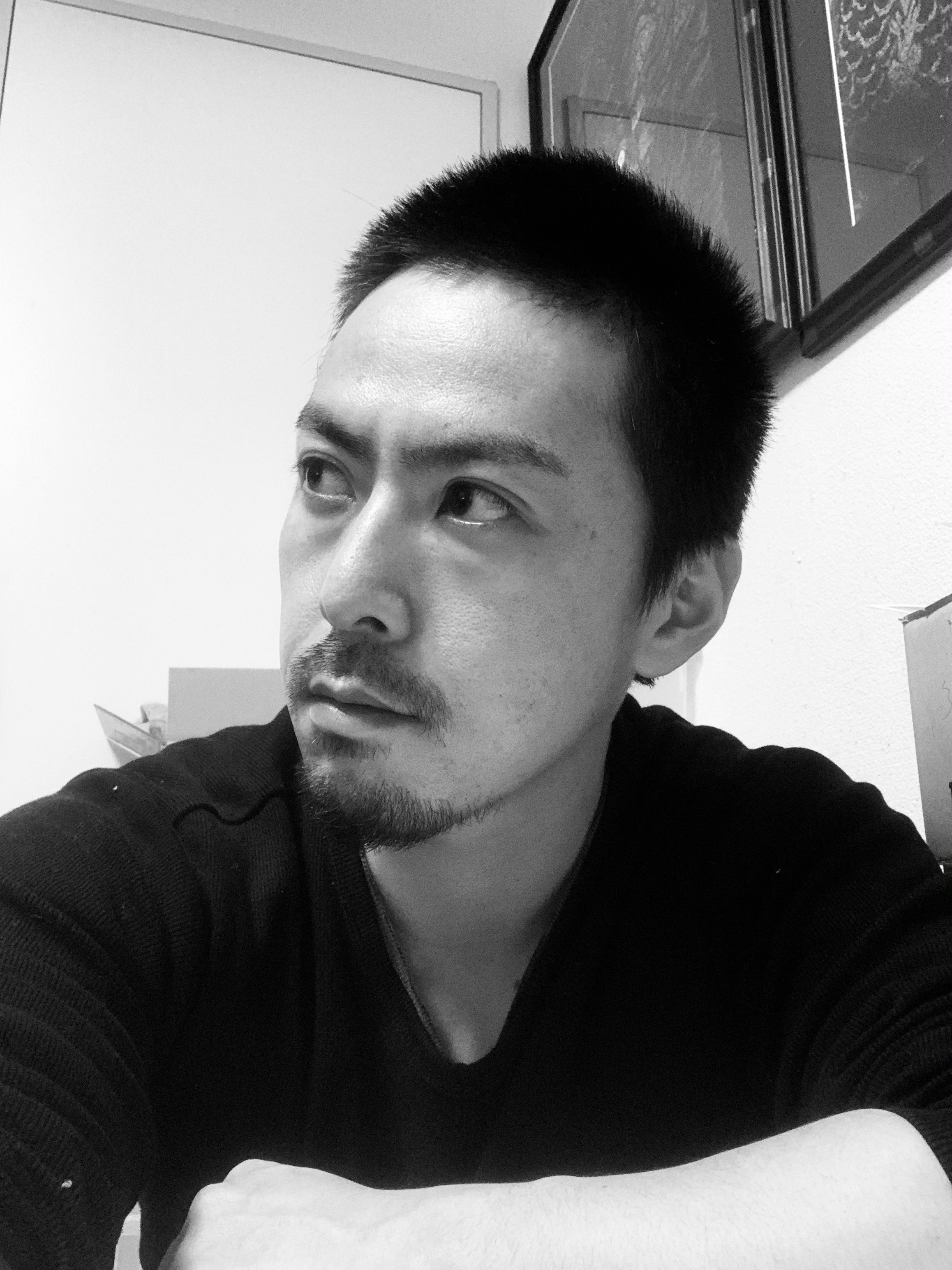 木石獣
