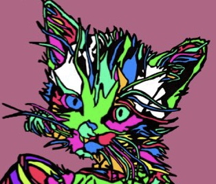 風刺猫画家 カメちゃまん