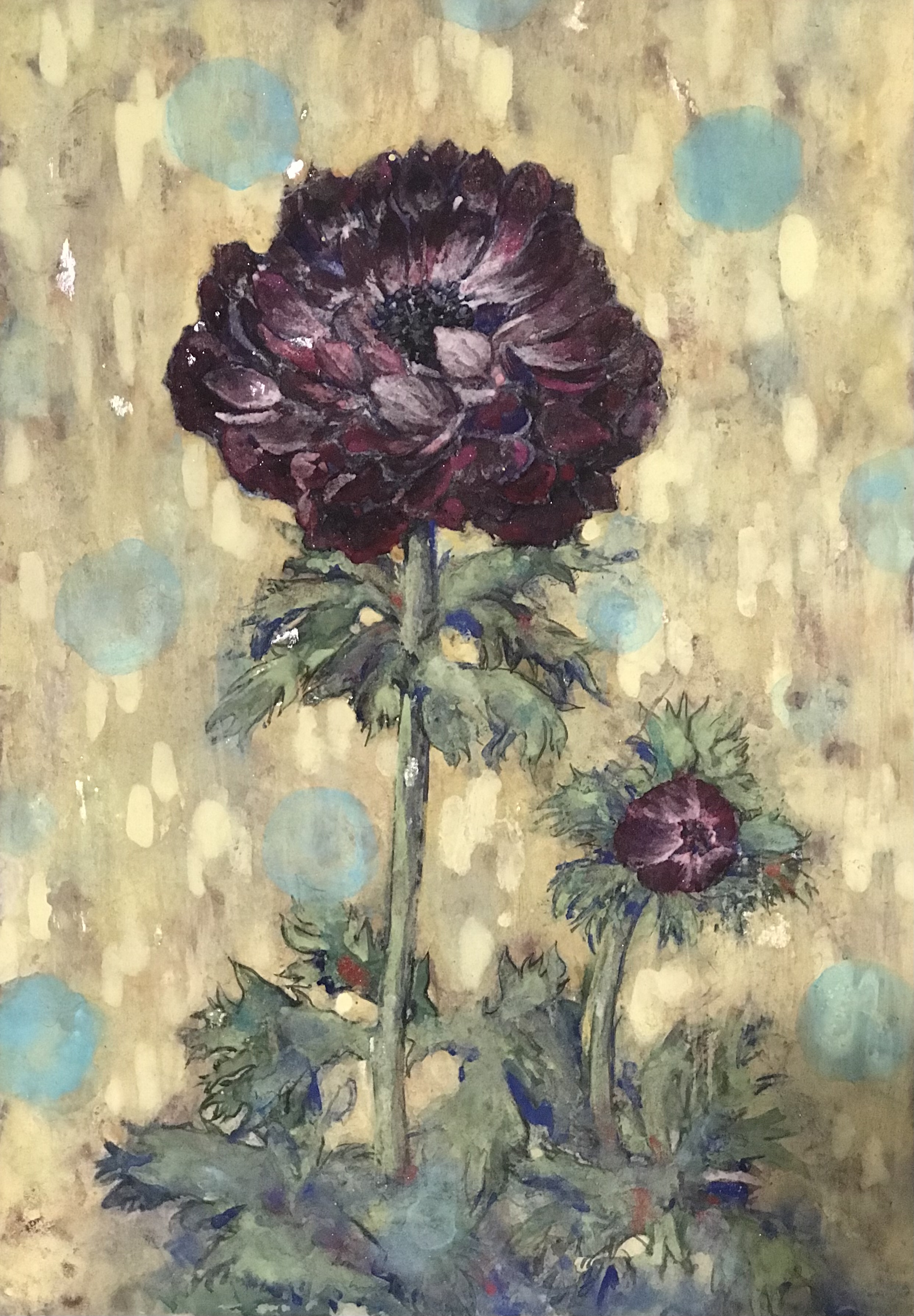 anemone