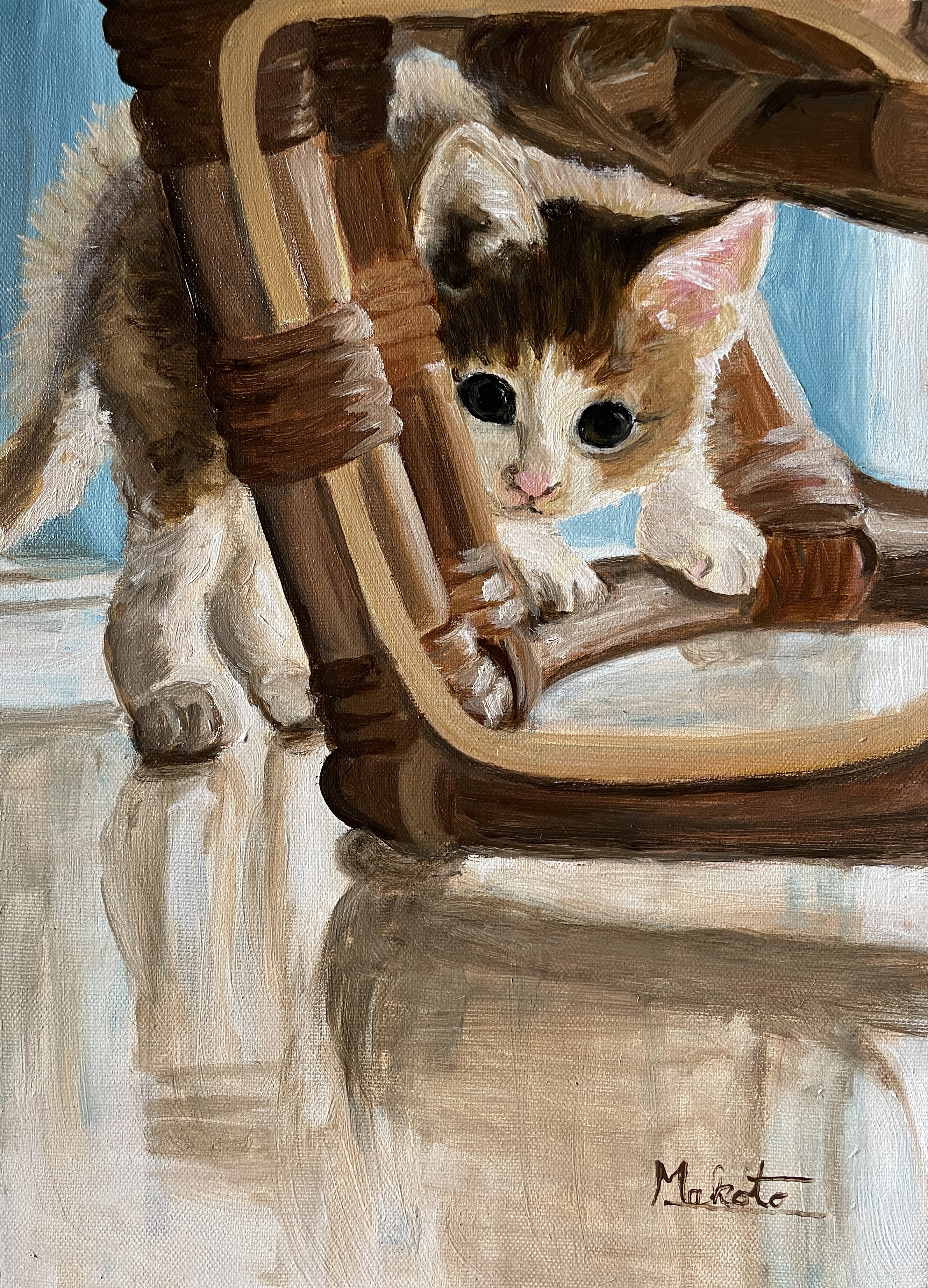 子猫