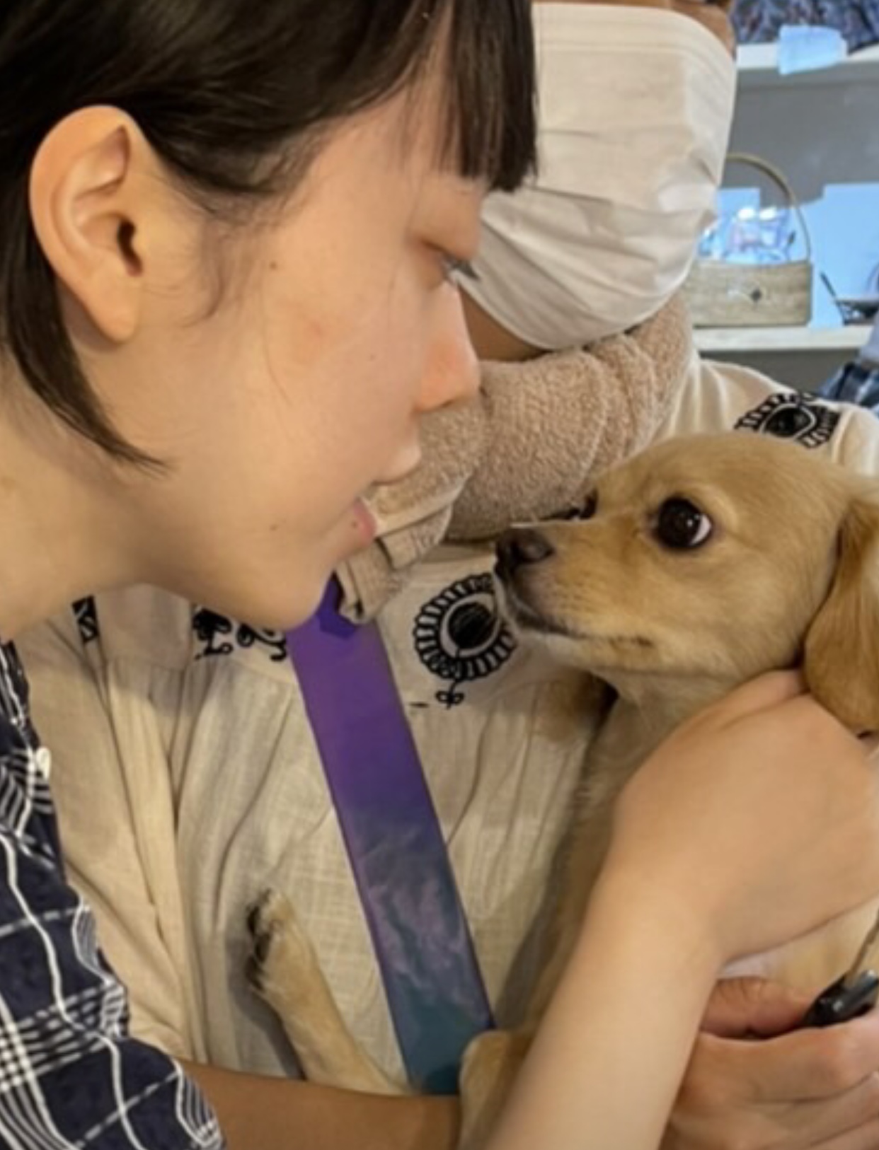 和田ひびき