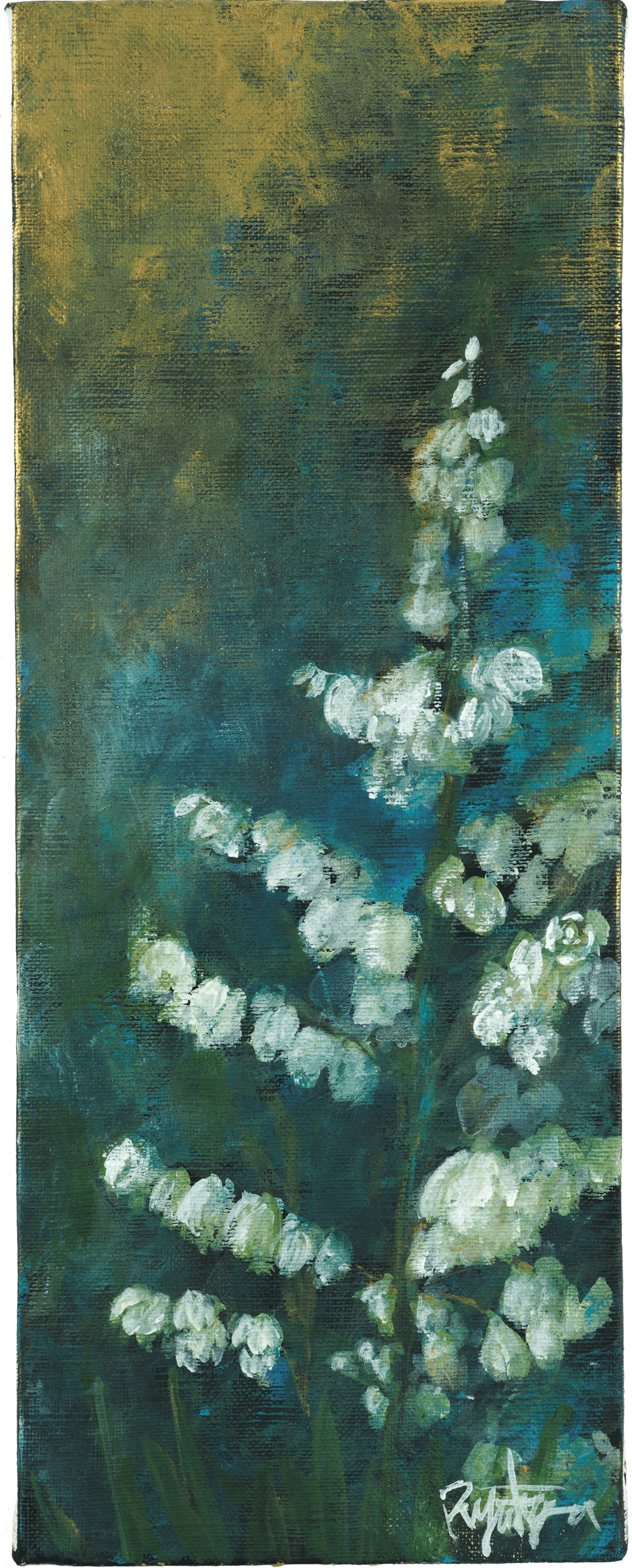 Yucca