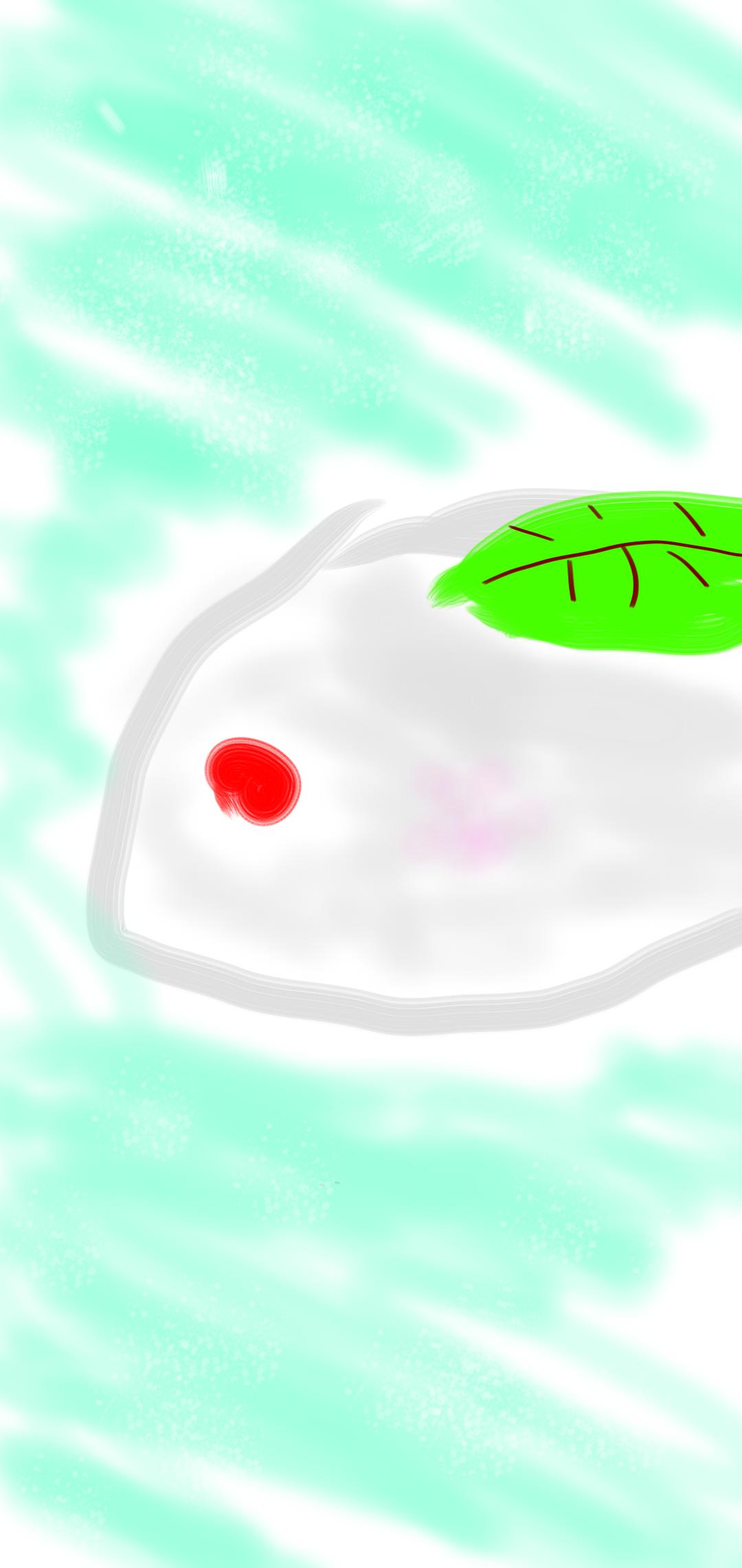 雪兎