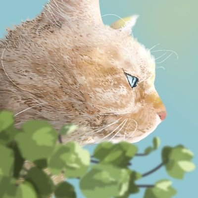 ななふし