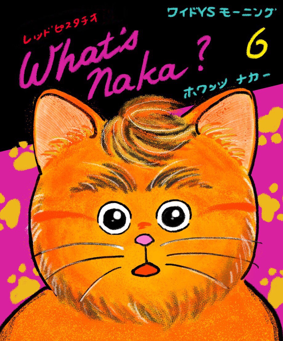 afx naka