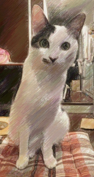 ニコル