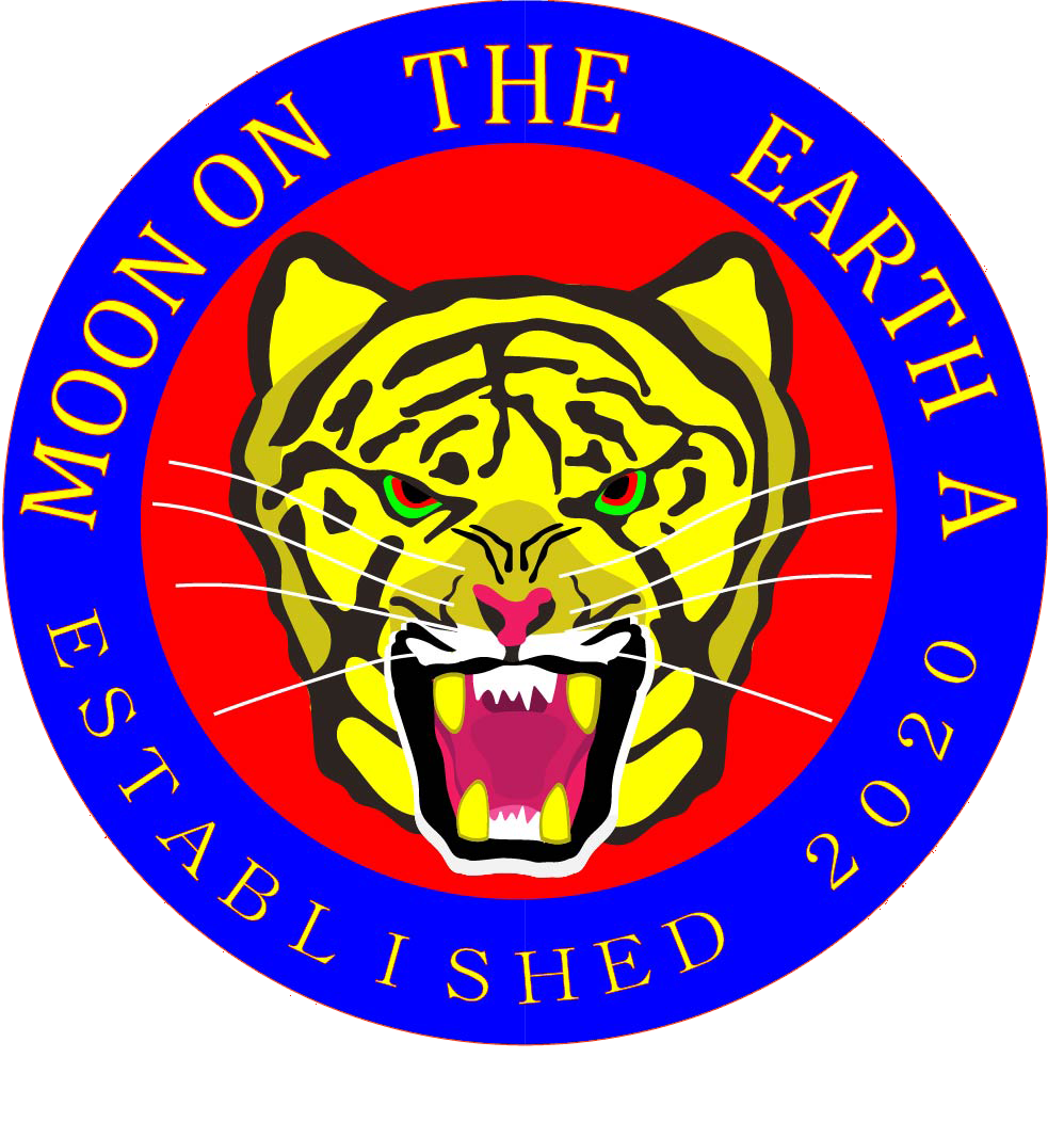 Moon on The Earth A