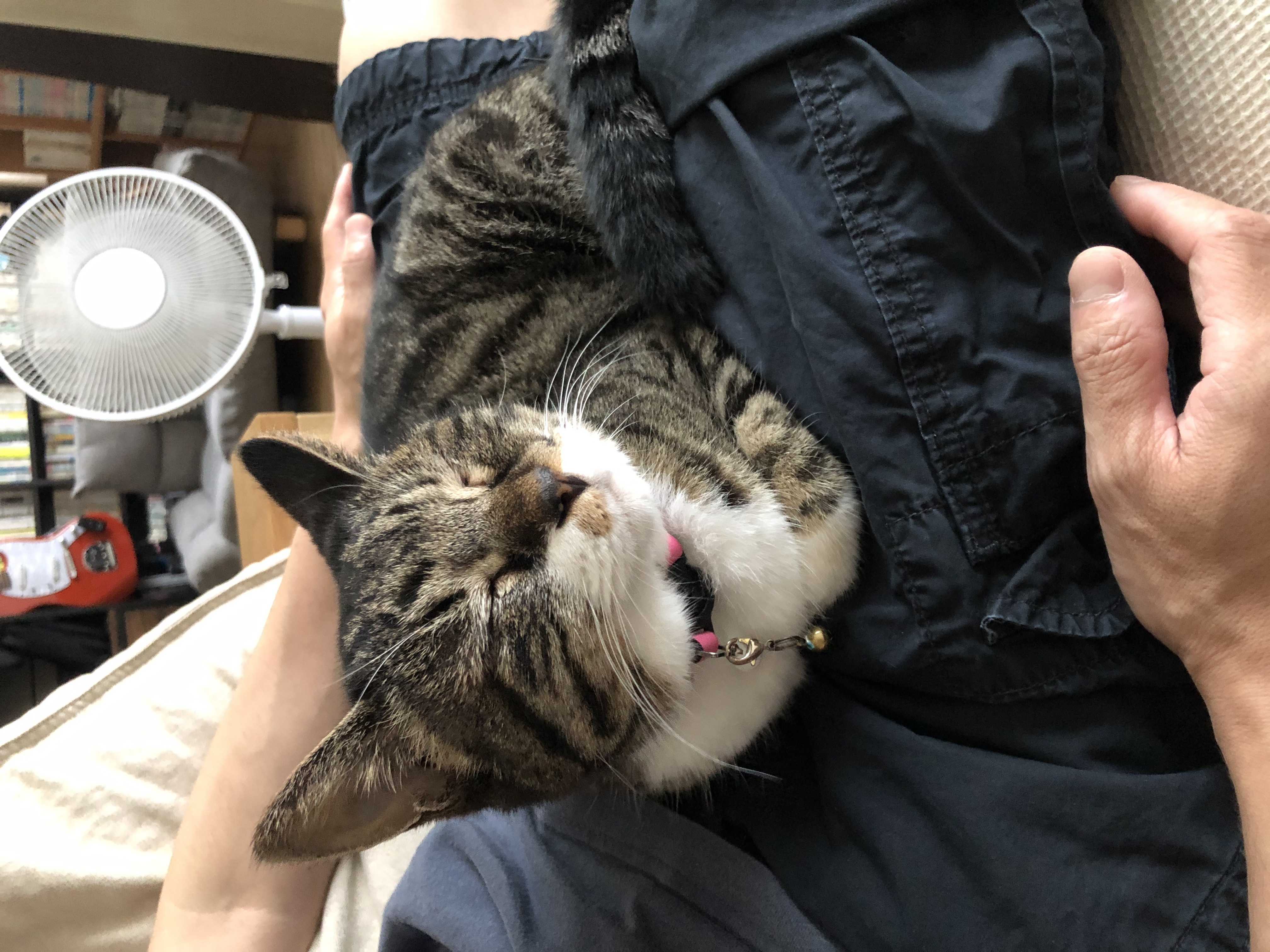 安部円子