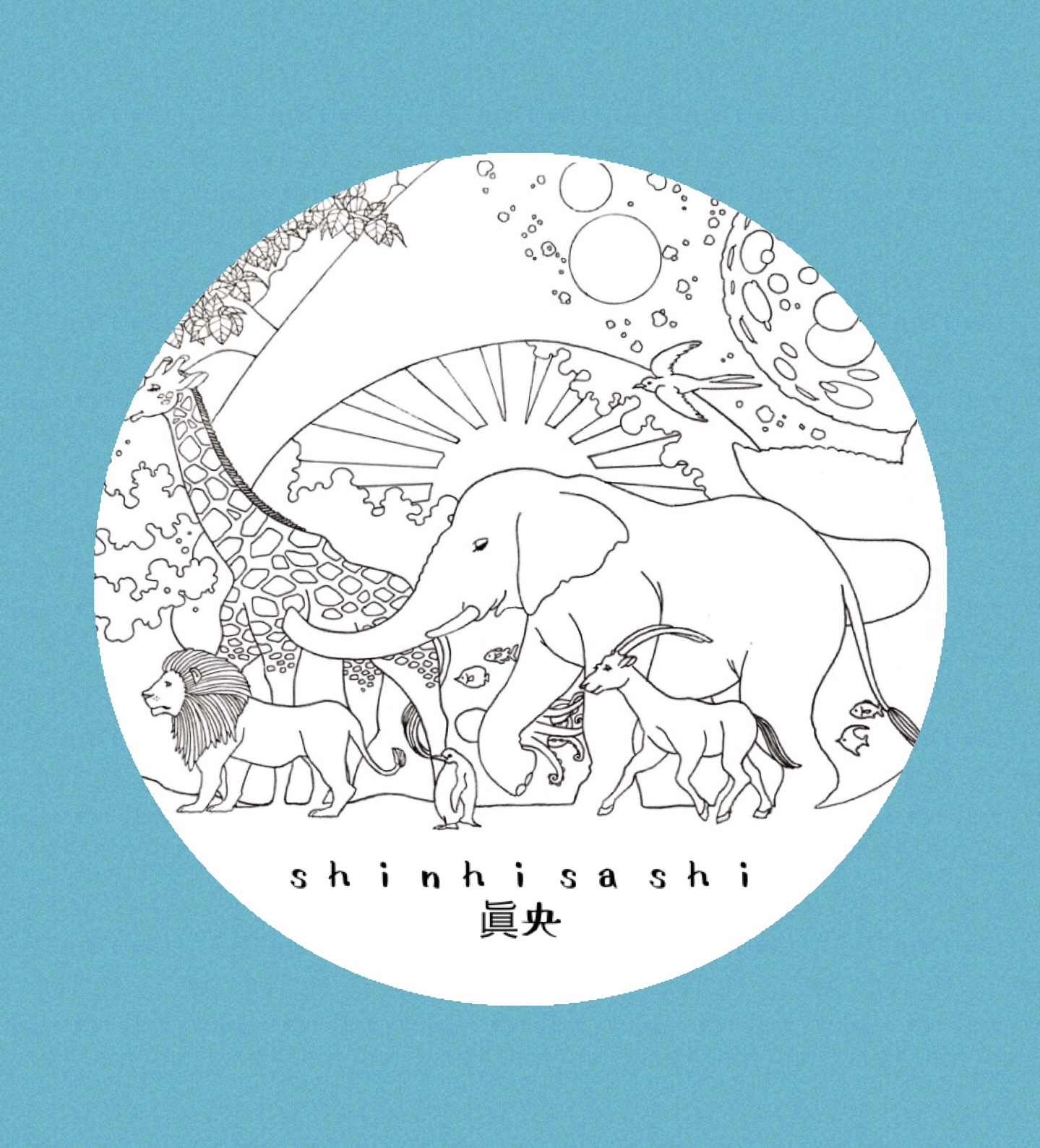 眞央/shinhisashi