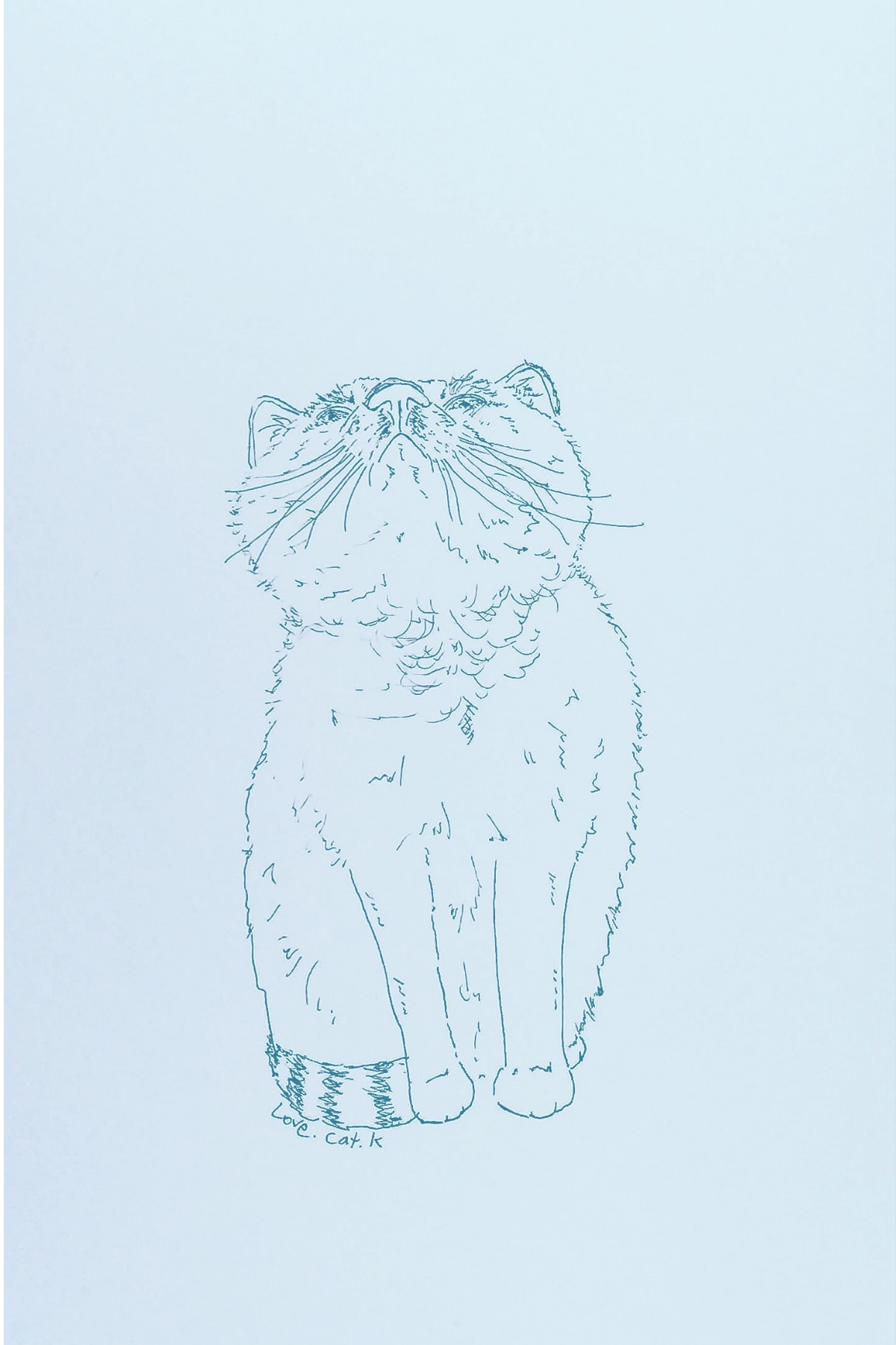 love.cat.k