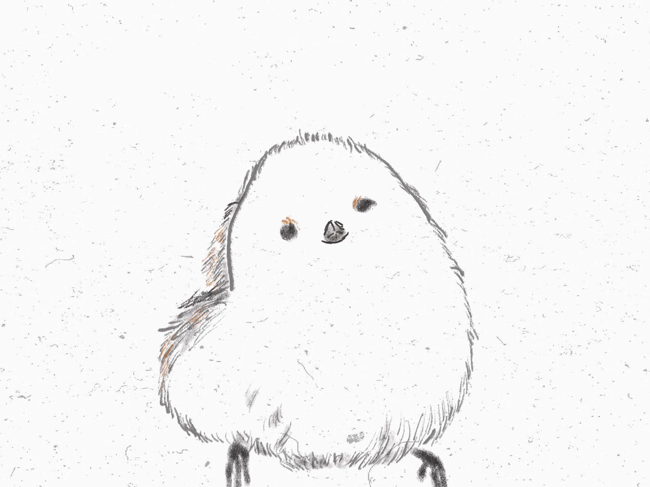 saitou-desu