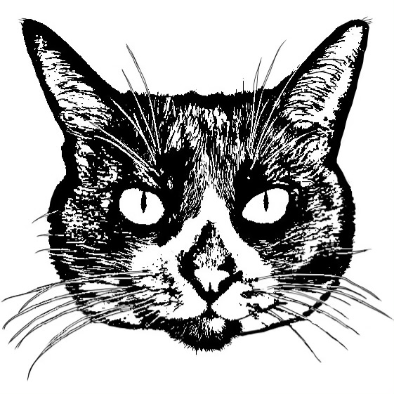 猫の毛工房