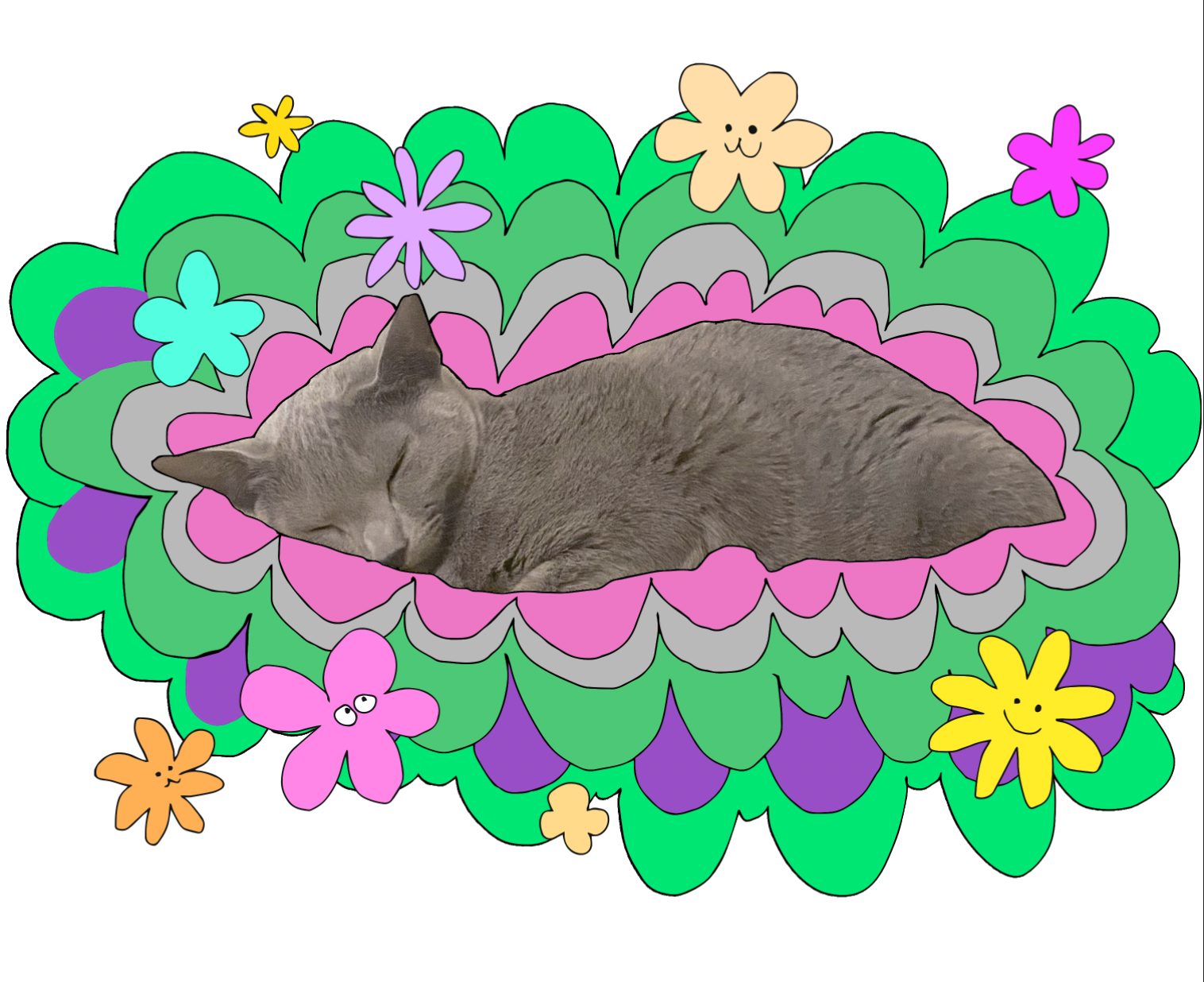 hi on flowers