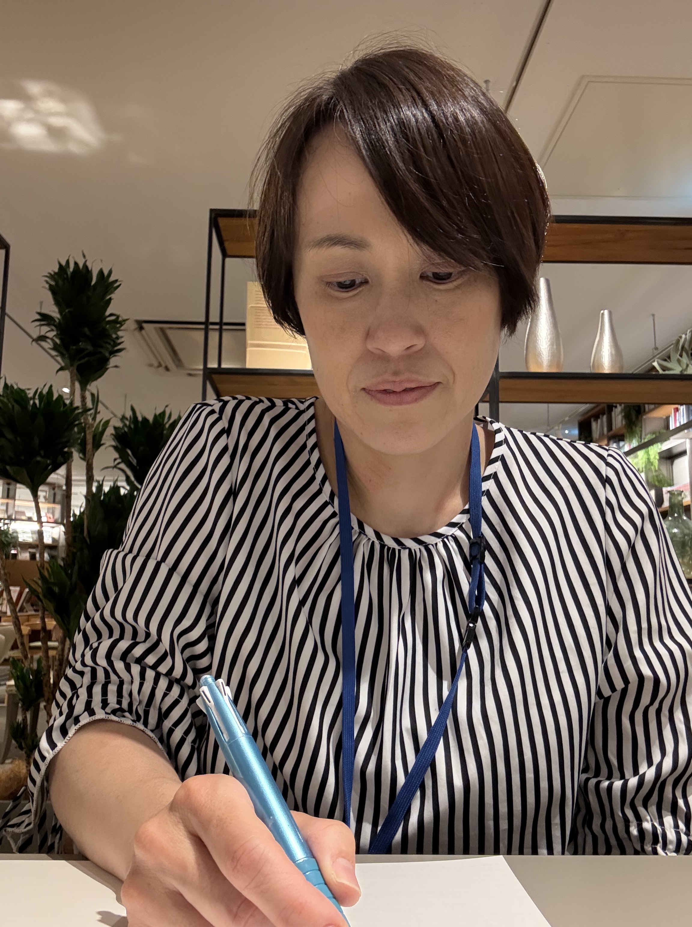 大坪桜風