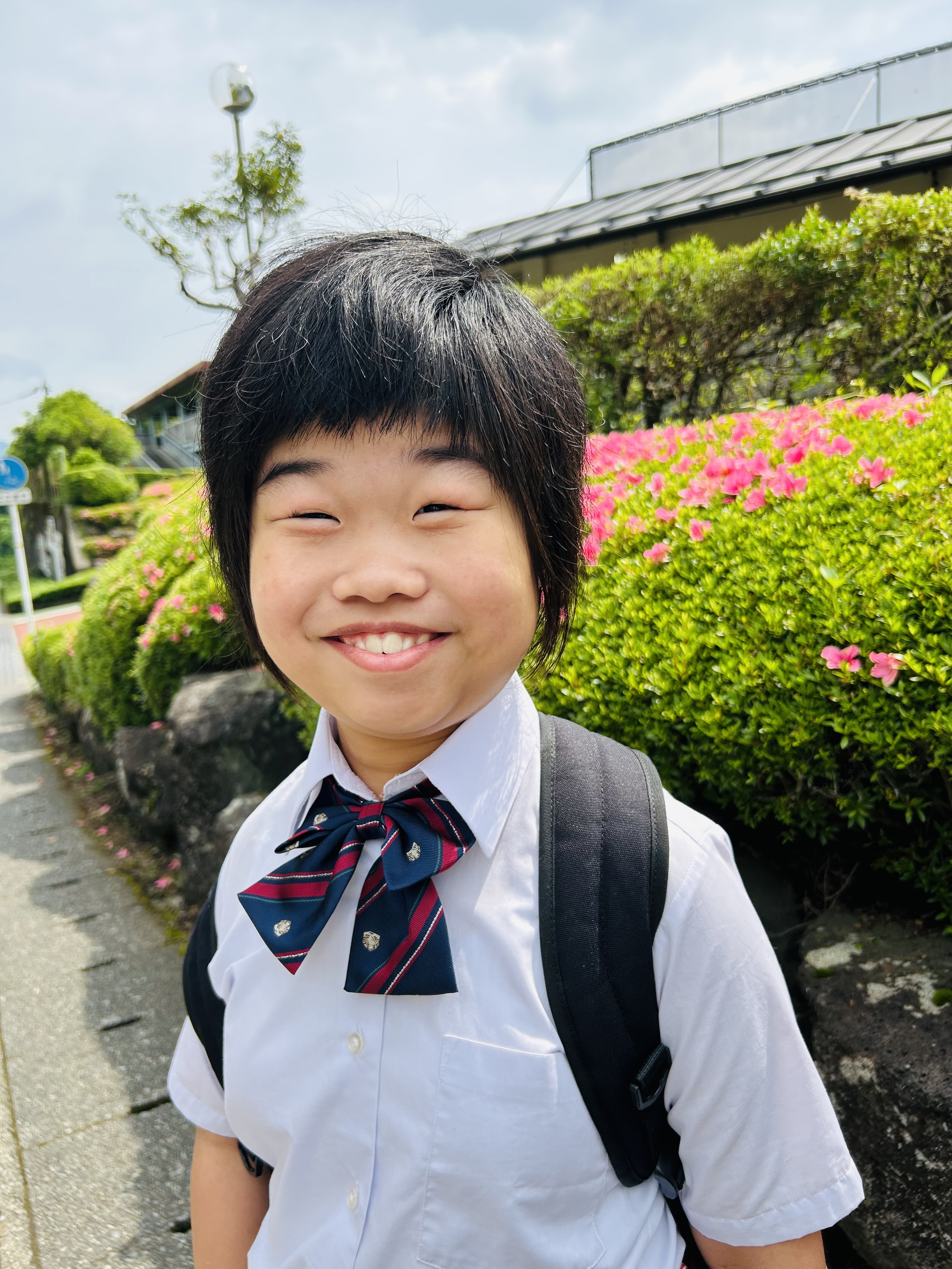 ねこペインターひろせりんこ