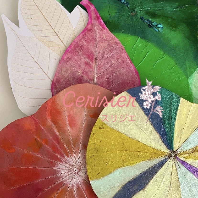 Cerisier