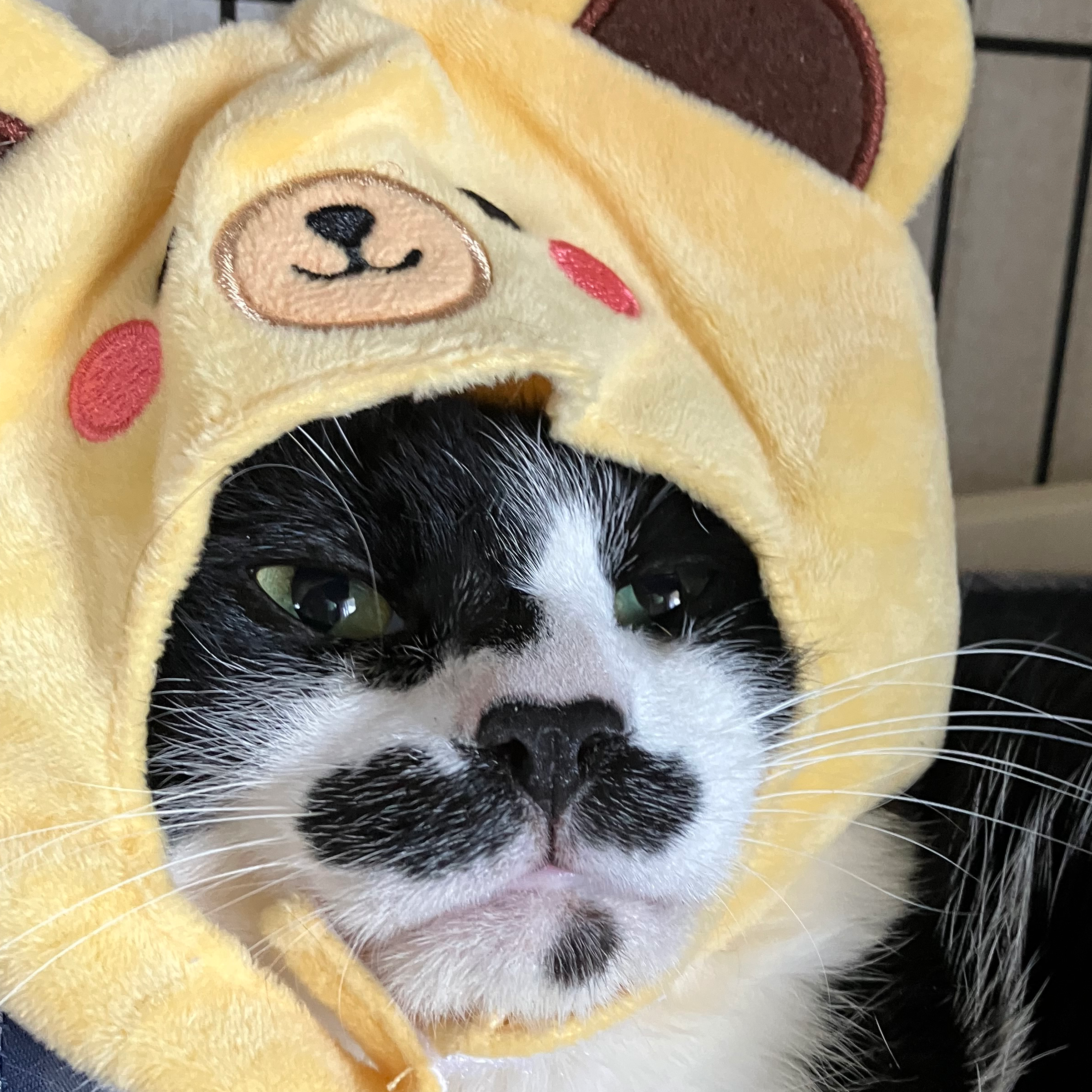 弁慶の父ちゃん