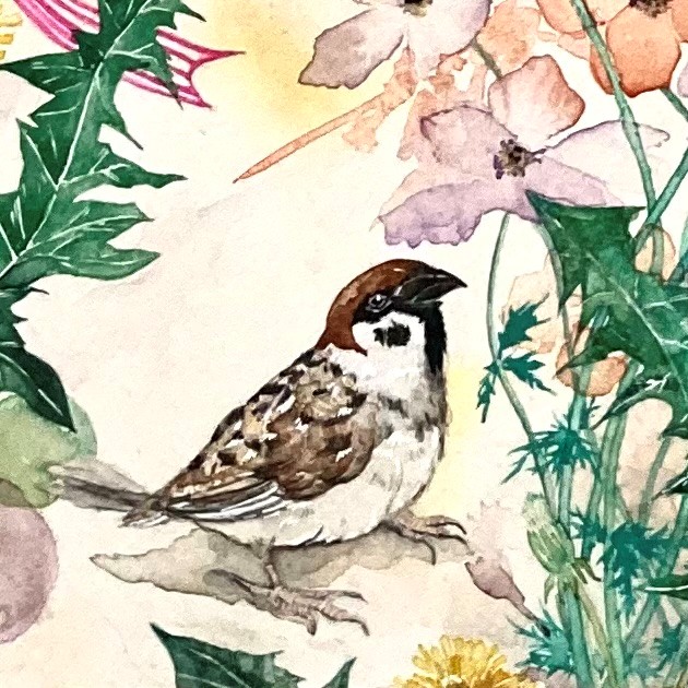 宮原牧子
