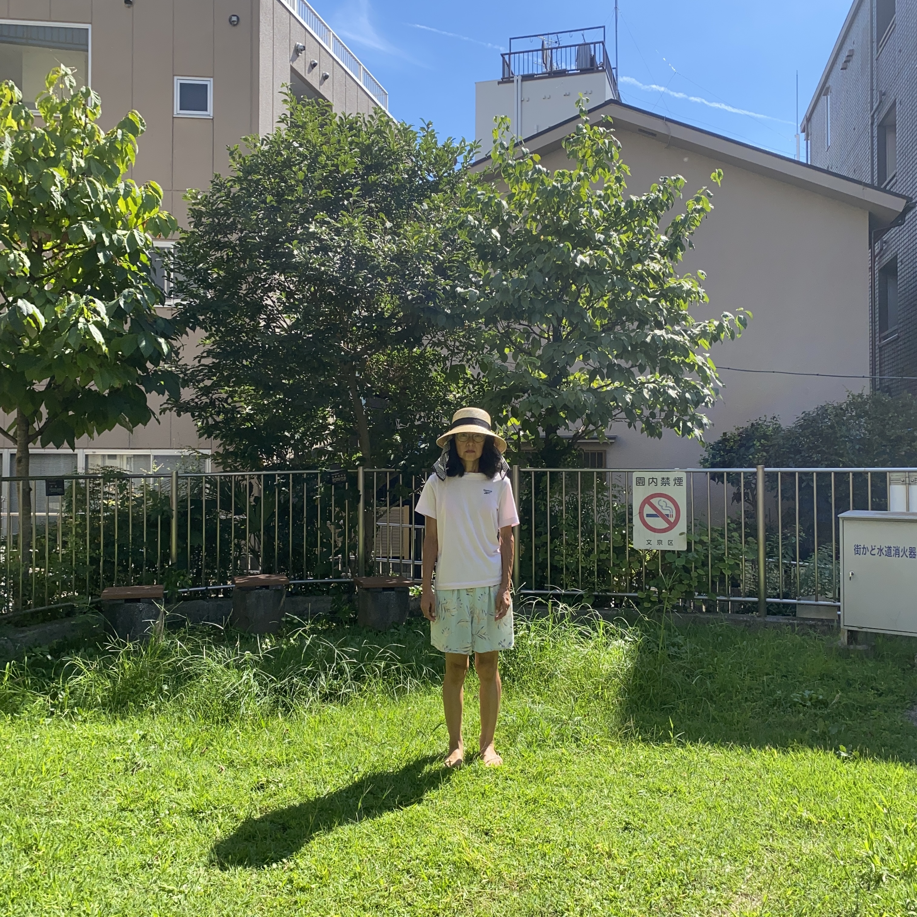 虹になる