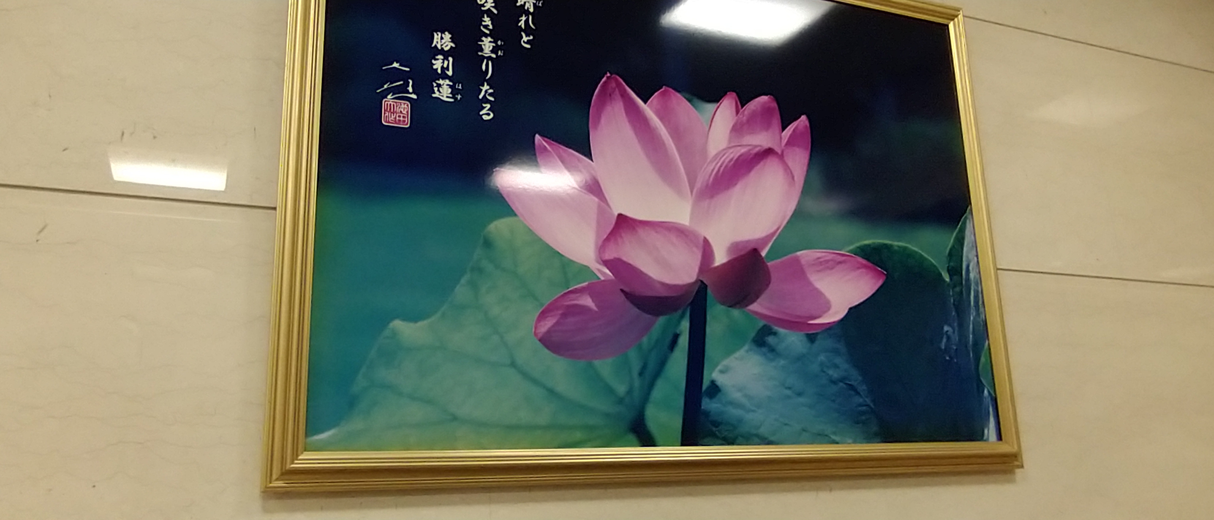 サンロータス