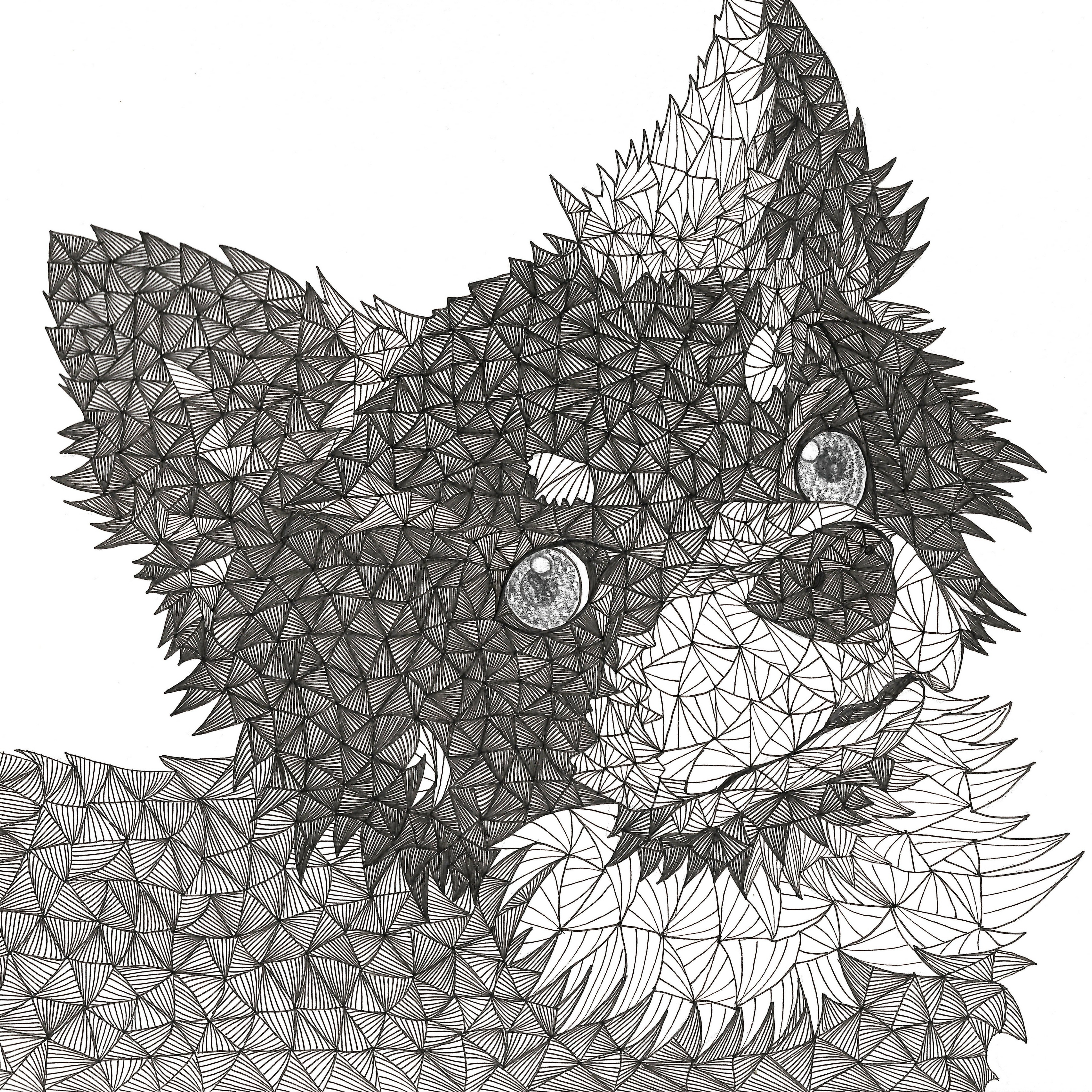 shaggy〜triangle art〜