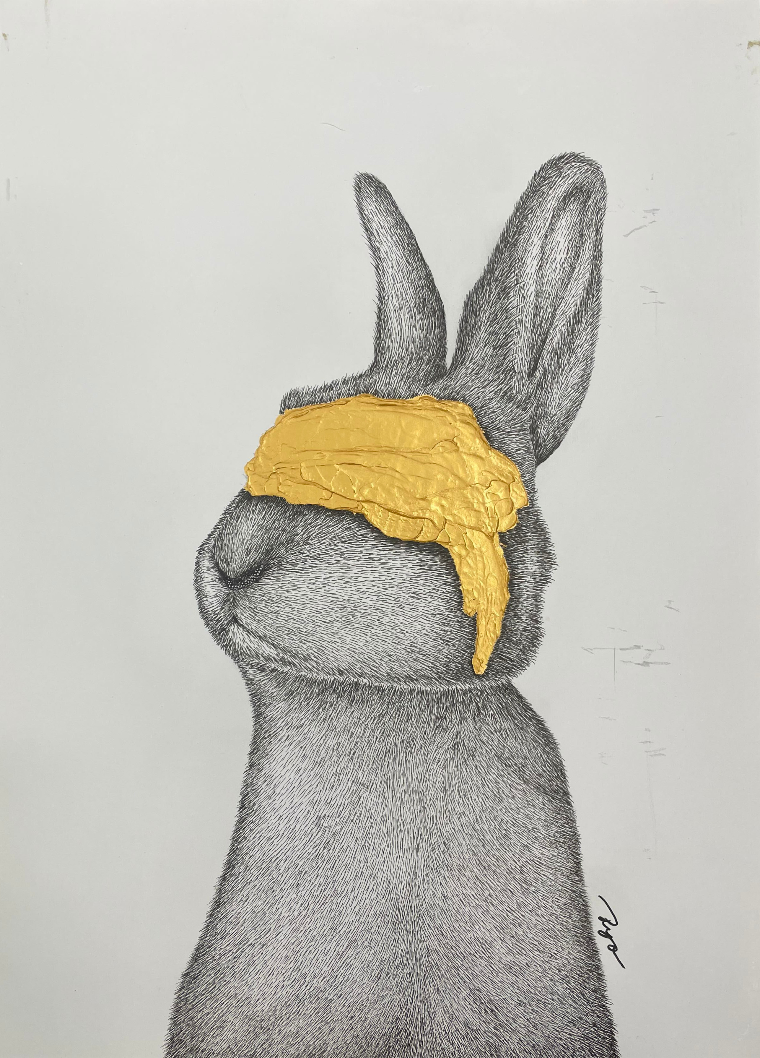 Imagine × Rabbit