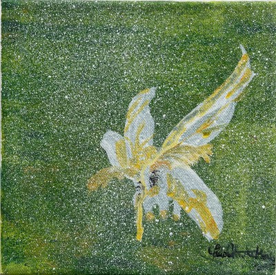 Yuria Mizuta MORSO Web個展